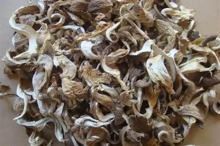 食用菌想增产？有哪几种“特效”方法