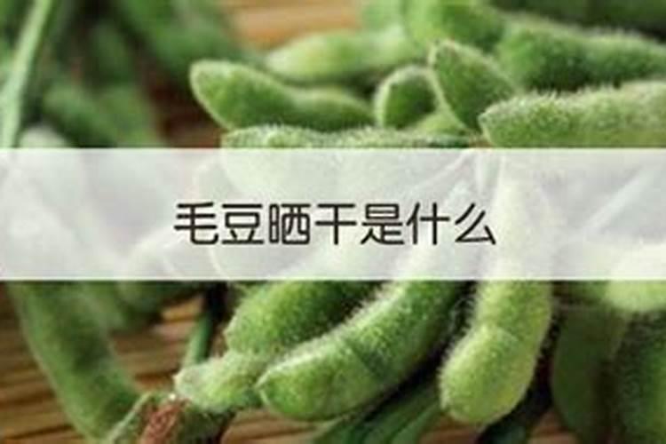 毛豆壳可以做肥料吗,可以晒干直接当肥料