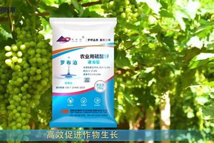 浙江解氏新材料股份有限公司怎么样？