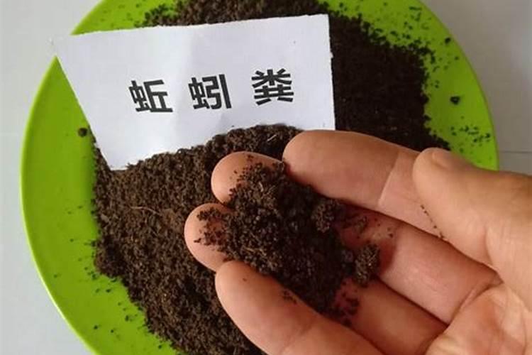 哪种粪肥养分含量最高？如何安全使用粪肥？