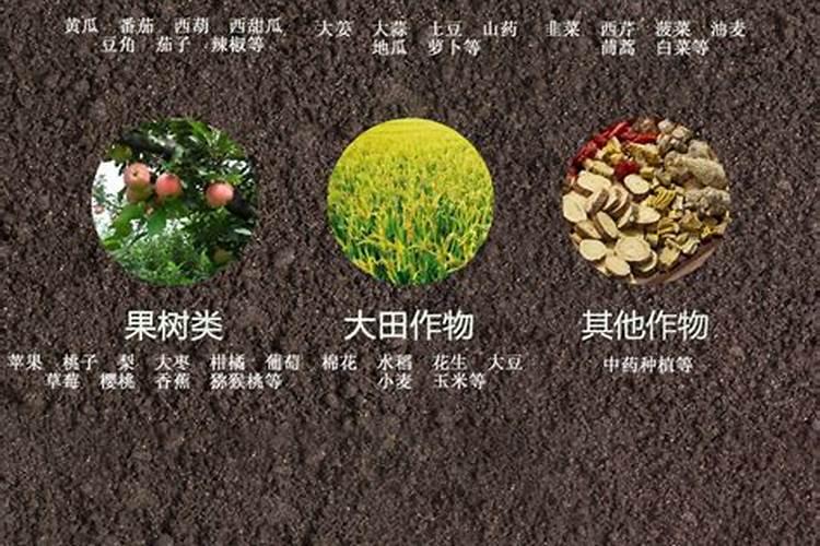 给花施复合肥,一次施多少