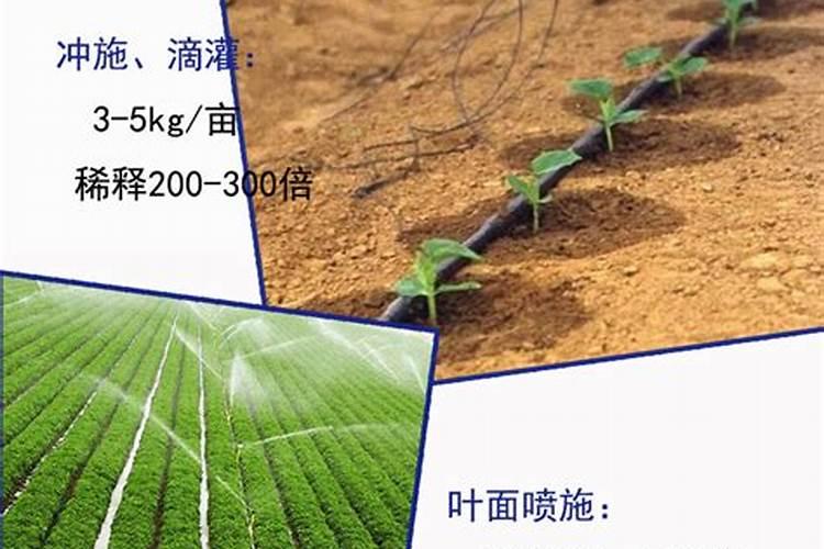果树促花用什么叶面肥好？