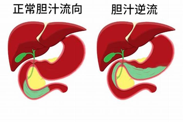 果树常见的11种营养元素失调症,如何辨别？如何防治？
