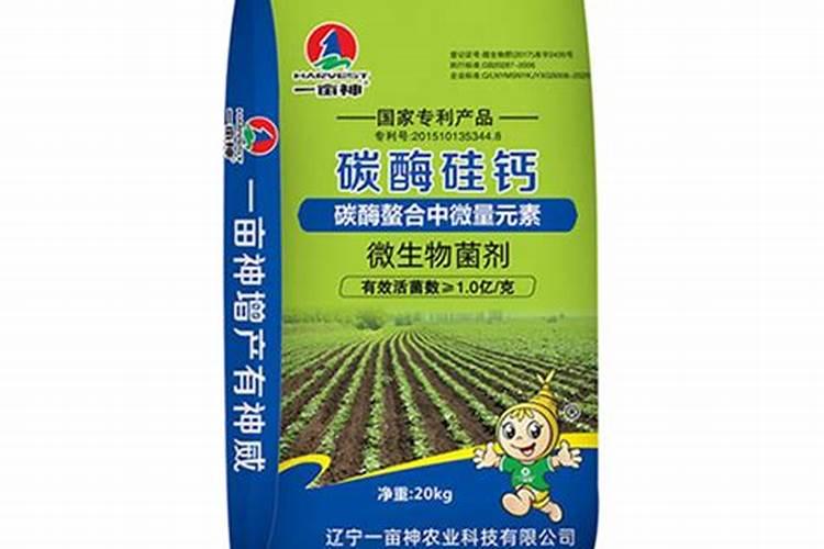 能让玉米增加10%产量的叶面肥
