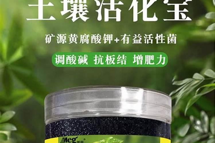 家里养的花用活化宝还用别的肥吗