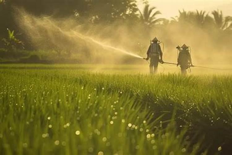 桃树花后打什么药