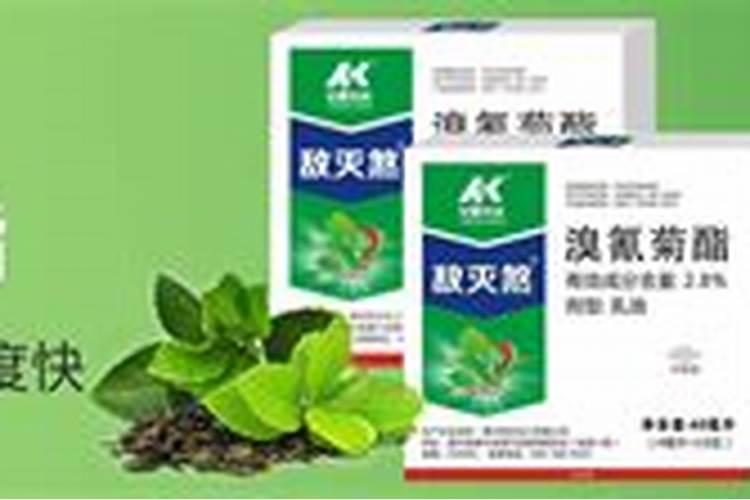 蓟马和螨虫用什么药好一点