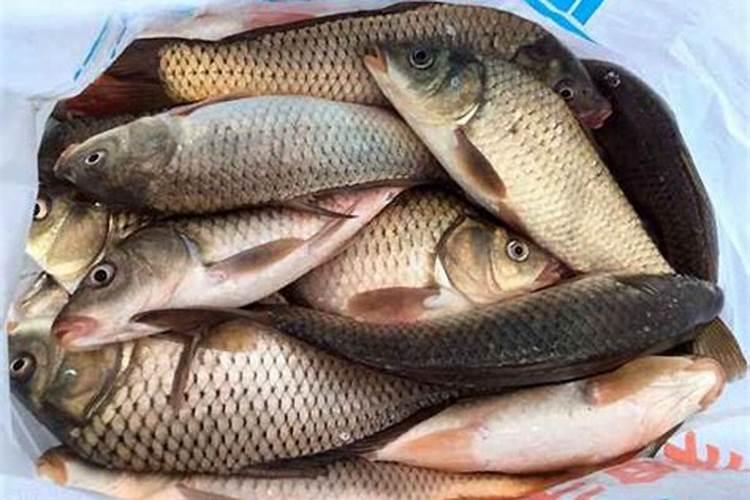 蛋白水解奶粉有哪些品牌