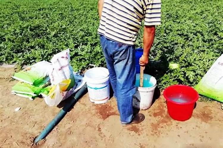 桃树硬核期施啥水溶肥最好、桃