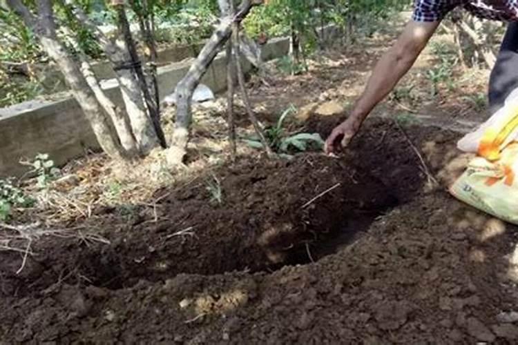 巧棵力颗粒水溶肥能作底肥吗？
