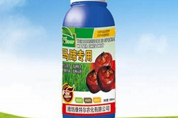马蹄白粉病用什么药效果最好