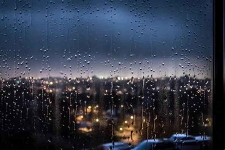 雨水对植物的作用