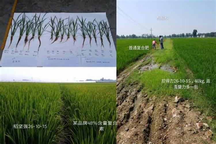控释肥浇地能洒吗