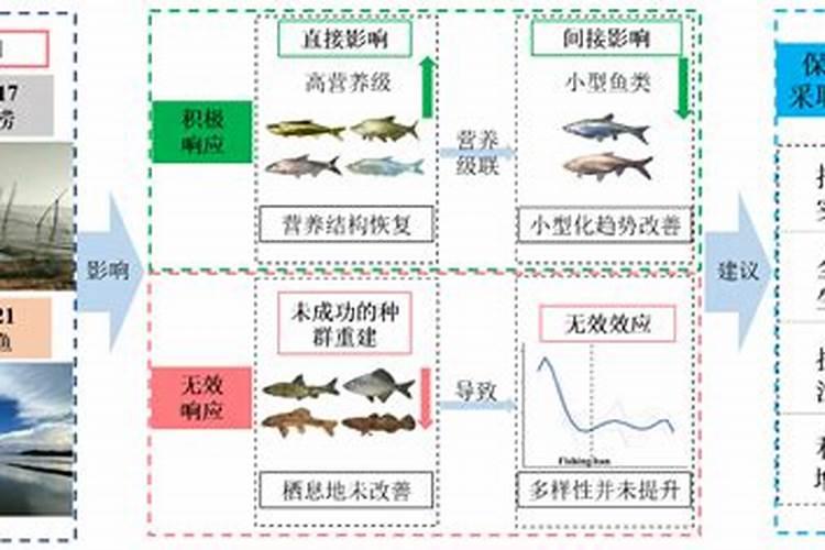 生化系统加磷肥有什么作用