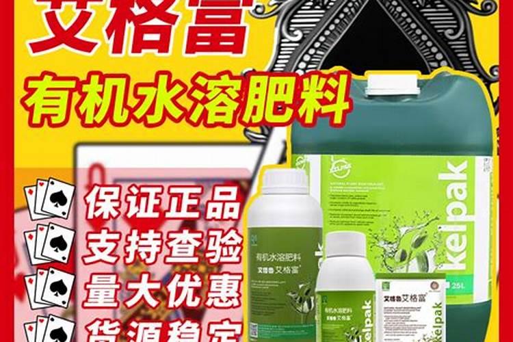怎么种莲子 如何种莲子