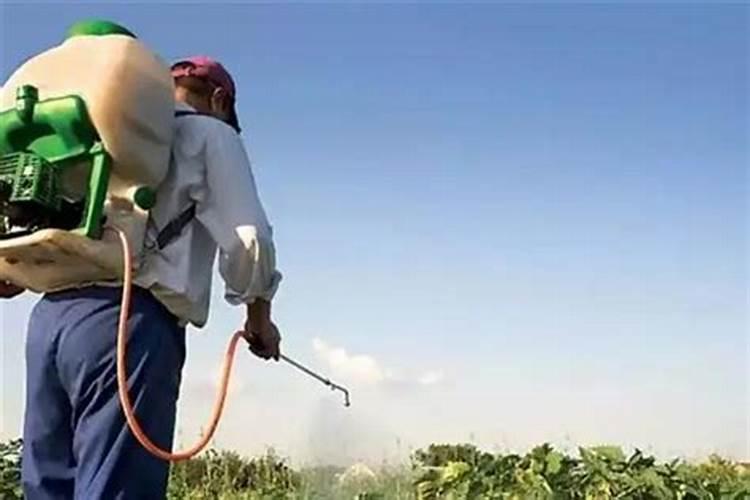 为什么氮肥不能与石灰草木灰等碱性肥料混