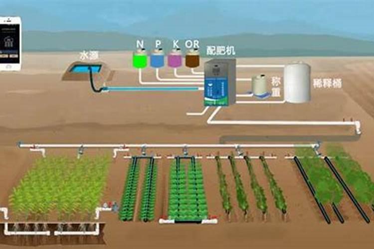 冬棚养殖如何快速肥水还节约成本？