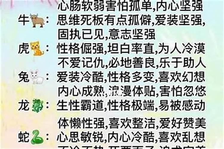 圣女果的高产施肥技巧有哪些？
