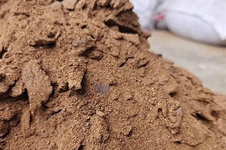 淘米水和菜籽饼一起发酵可以浇菜吗？