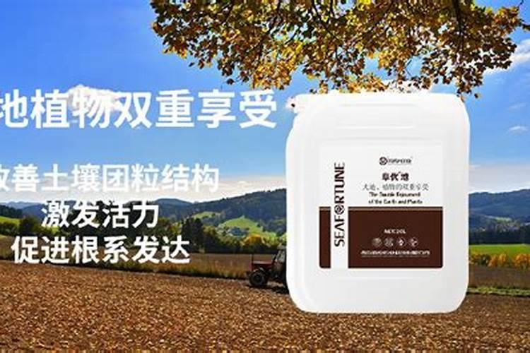 芒果树一棵用多少鱼蛋白液体肥料