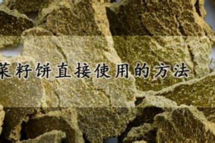 菜籽油饼直接可以施肥吗