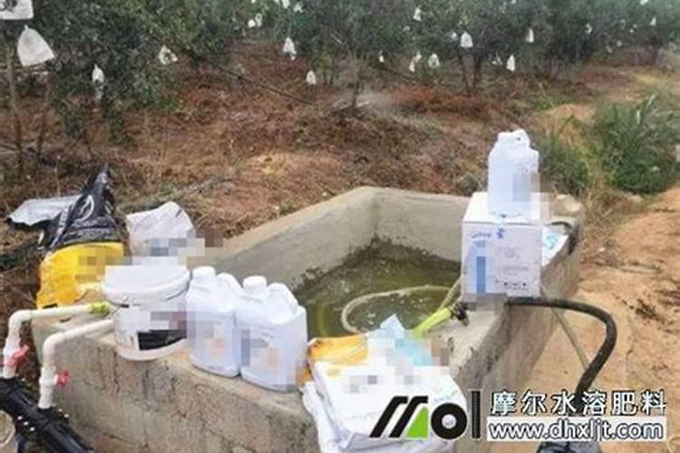 水溶肥的优势,与叶面肥,滴灌肥,冲施肥的区别和联系？