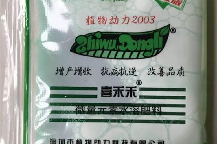 橡皮树种植需要什么肥