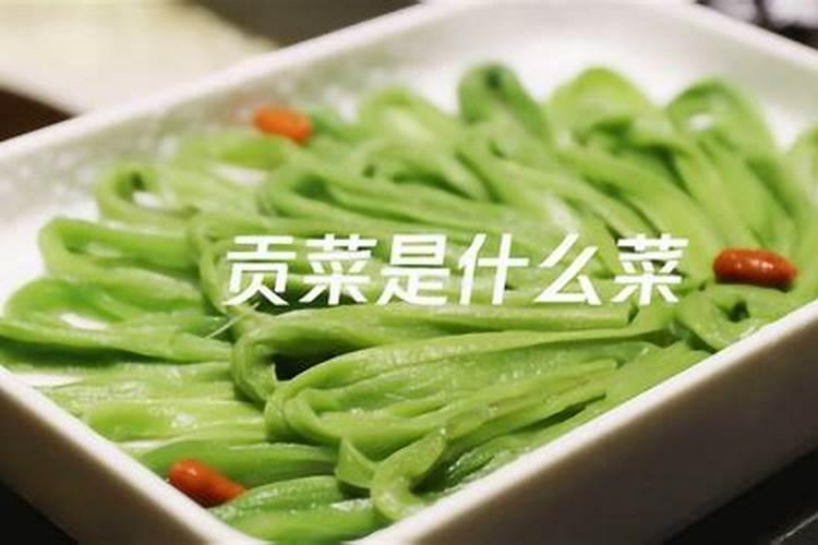 贡菜的种植方法