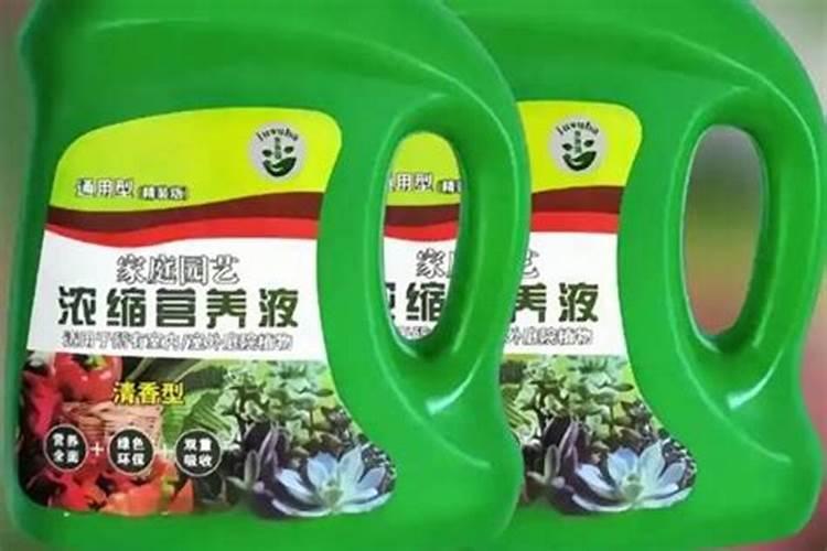 自制最厉害生根液