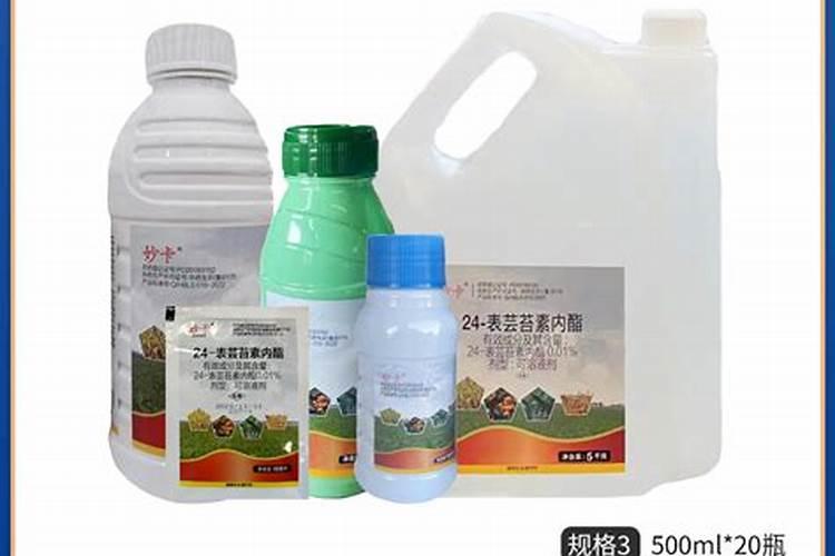 硕丰481芸苔素内酯多少钱一瓶？