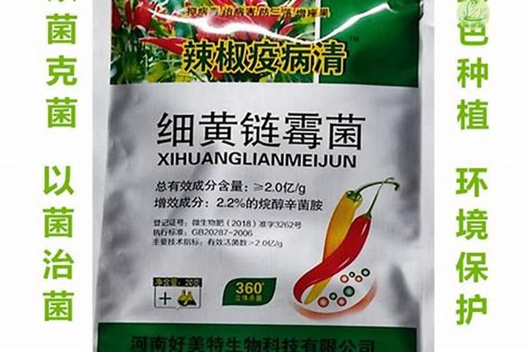 警惕!辣椒细菌性叶斑病大面积发生,使用哪种杀菌剂最有效？