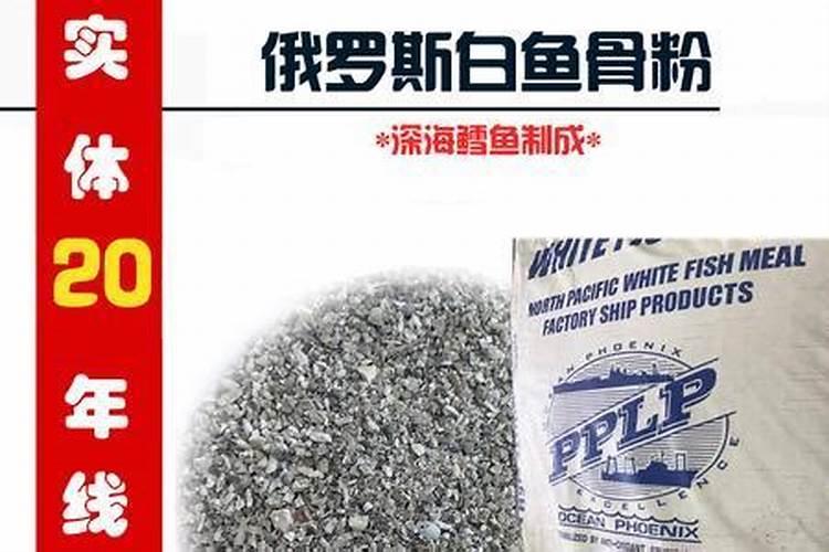 100斤鱼能发酵成几斤鱼蛋白