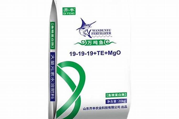 一斤鱼变成多少鱼蛋白肥料