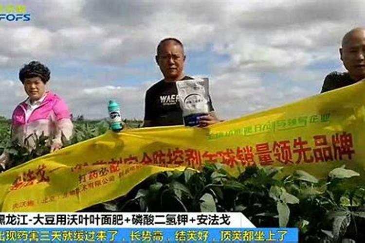 黄豆盛花期可不可以打叶面肥,大,黄豆开花期,能不能打叶面肥？