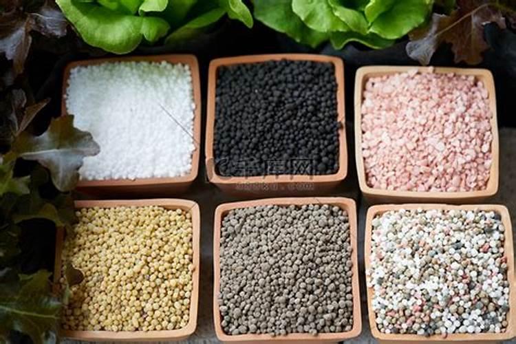 什么化学肥料能闻到强烈的氨气味