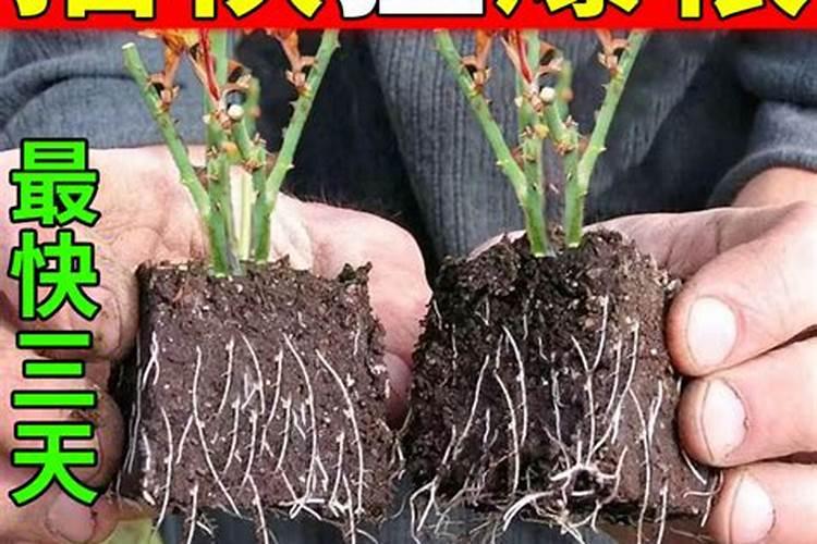 2014年山东省聊城市鲁西集团招聘简章