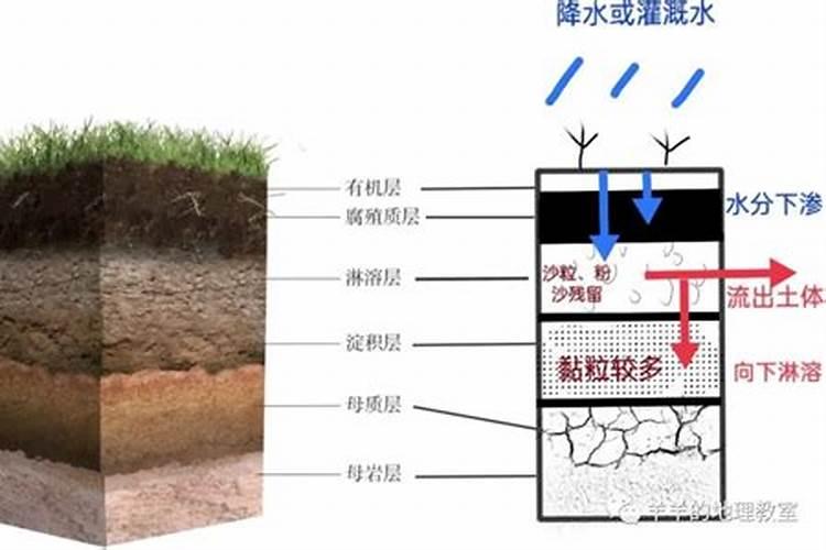 如何施用硼肥