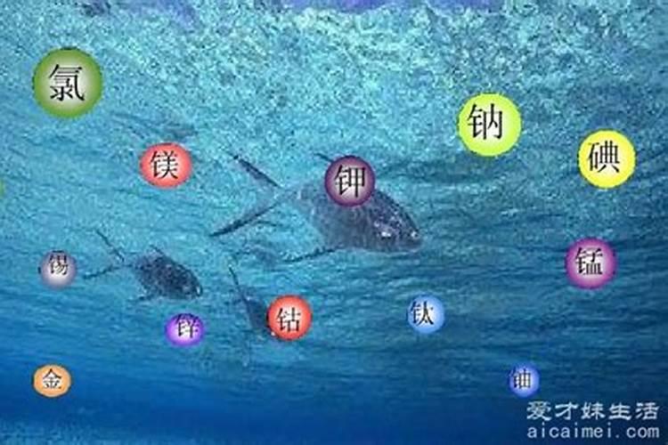 海水中含量最多的元素