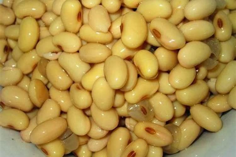 熟黄豆可以做肥料吗