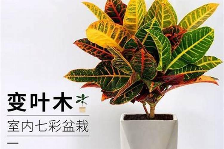 常见的氮肥有哪些？