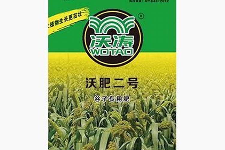 谷子亩产一般多少斤,谷子一般亩产量能达到多少公斤