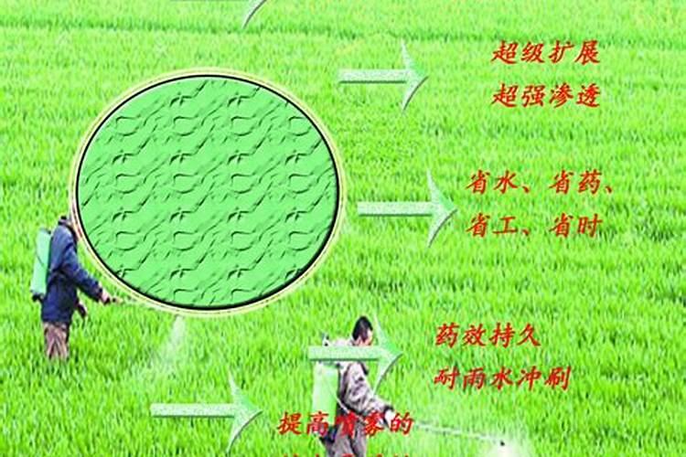 绿芬威与沃丰素哪个好