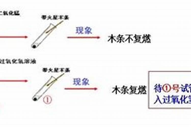 硝态氮是什么