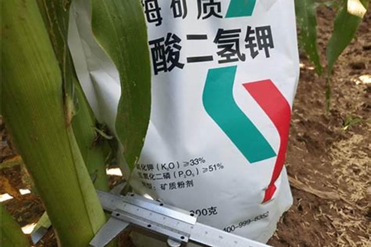 玉米控旺能加磷酸二氢钾吗
