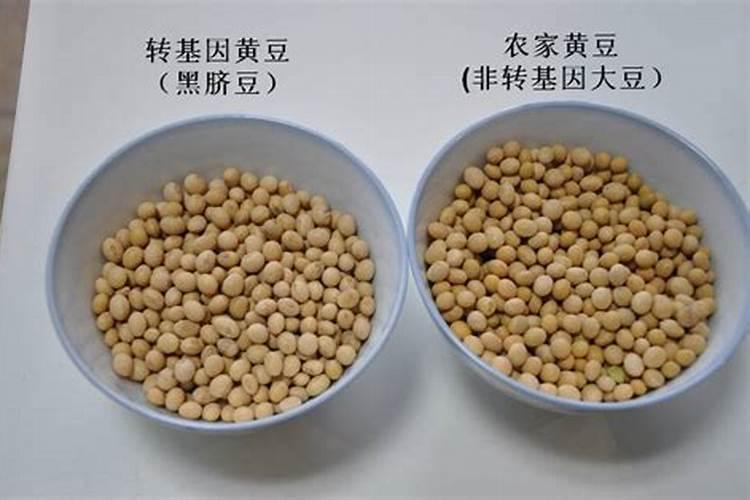 黑龙江大豆垦丰16一米多少株