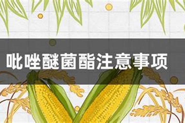 苹果花后到套袋前三次用药治疗性杀菌剂如何配置