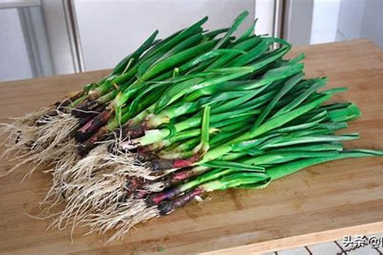 蒜苗施什么肥料最好