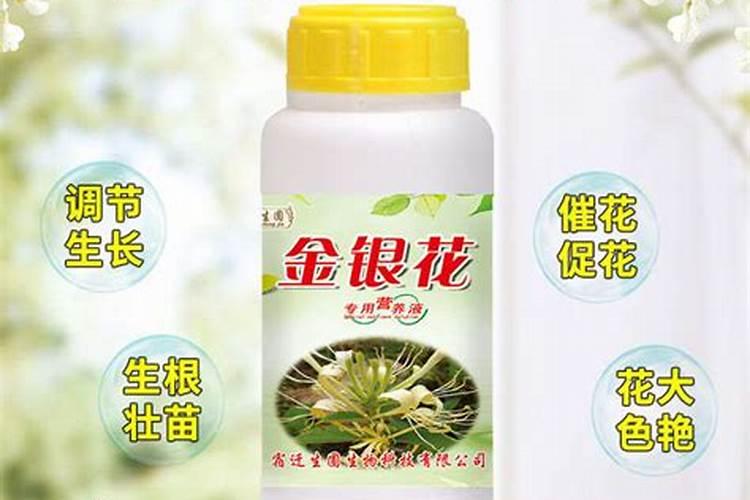 沃柑保花保果最好的方法