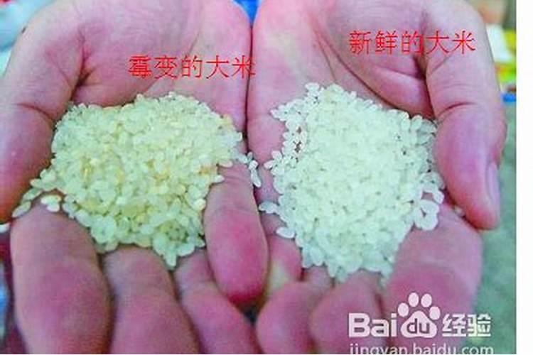 发霉了的大米可以埋在土里当肥料种庄稼吗？