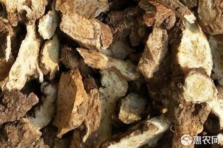 种植苍术用什么肥料 苍术施什么肥料好